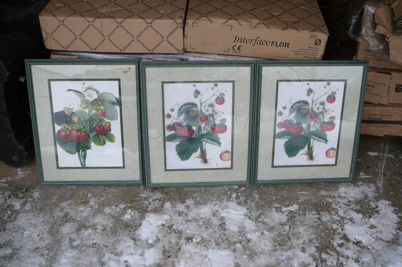 Lot of 3 Pictures