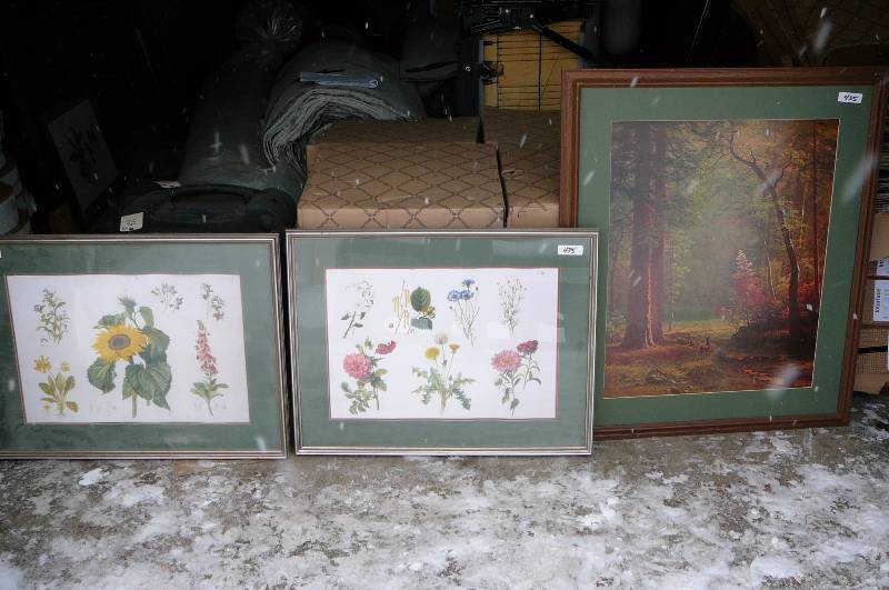 Lot of 3 Pictures