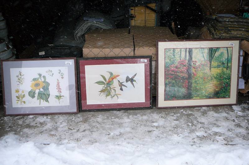 Lot of 3 Pictures