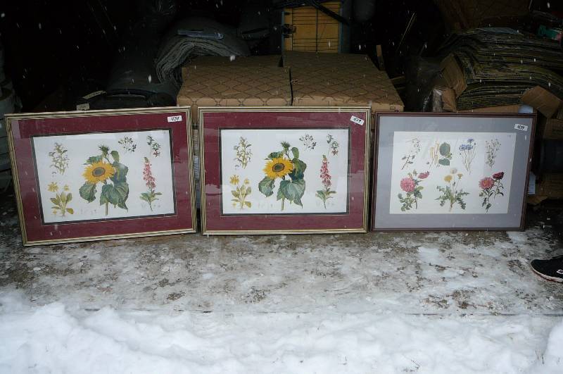 Lot of 3 Pictures