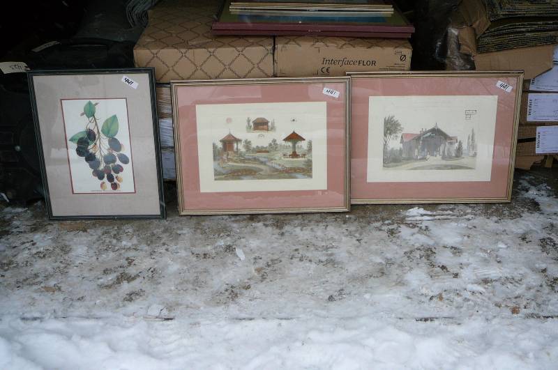 Lot of 3 Pictures