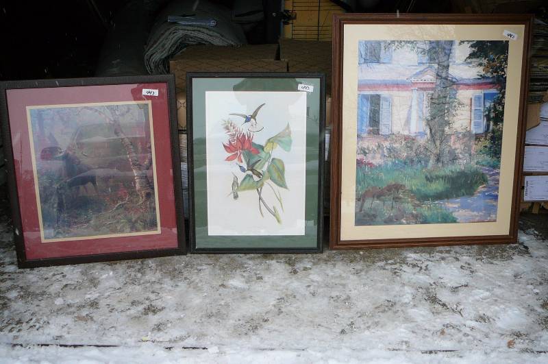 Lot of 3 Pictures