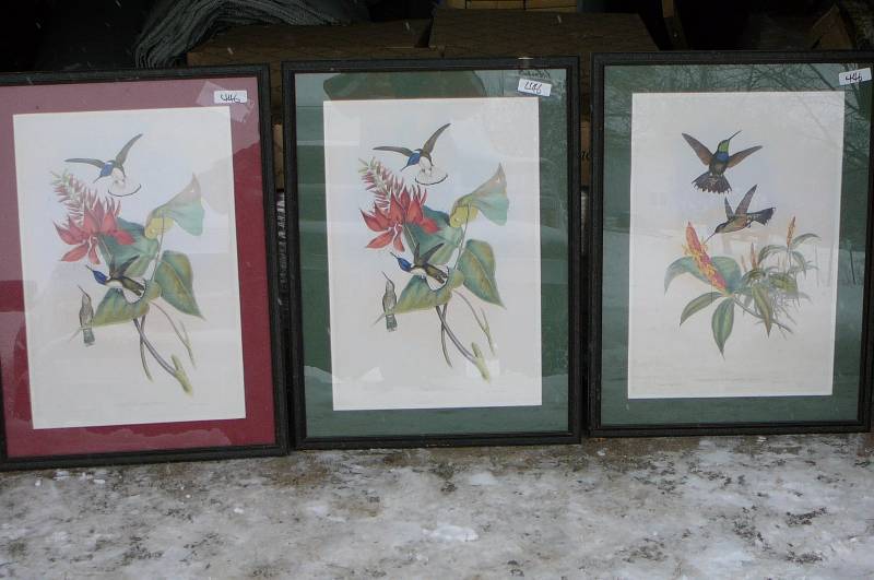 Lot of 3 Pictures