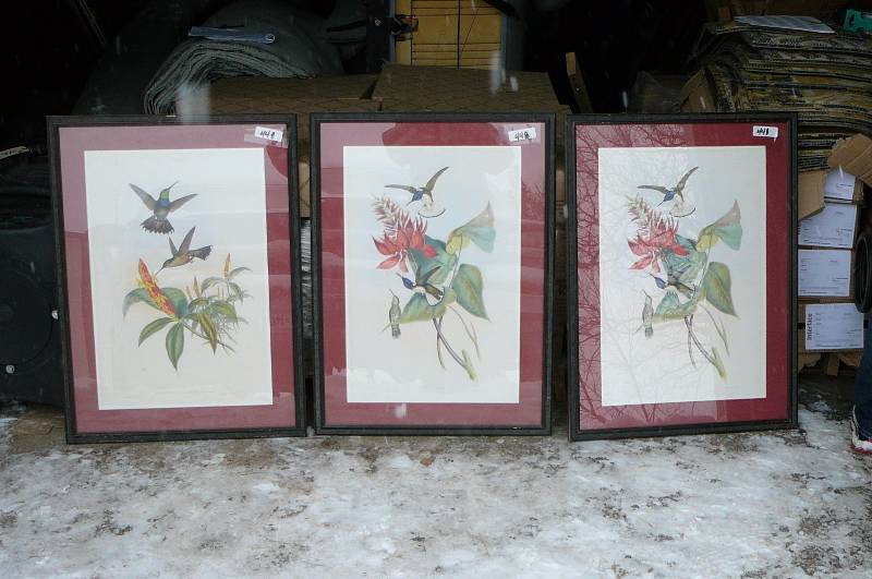Lot of 3 Pictures
