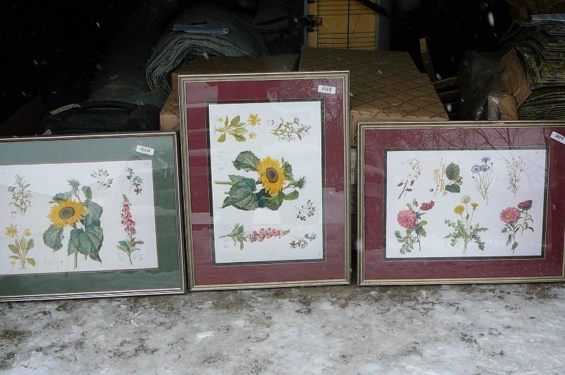 Lot of 3 Pictures