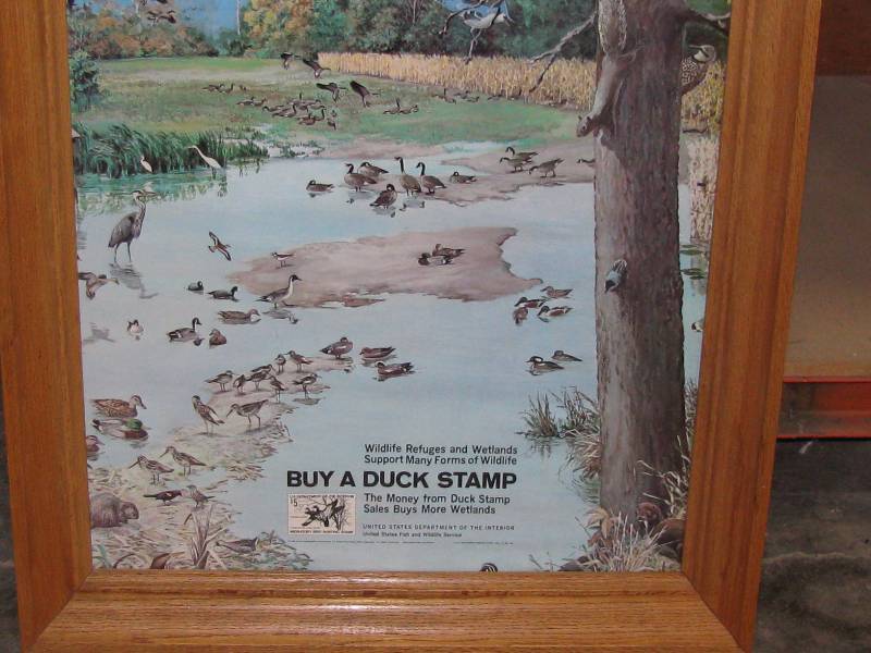 lot 19 image: Buy A Duck Stamp Poster