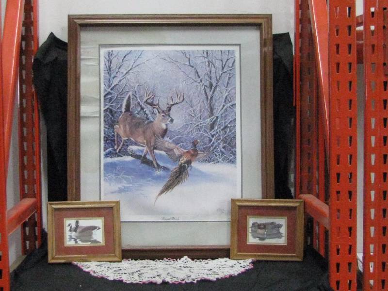 lot 52 image: Framed Wildlife Prints