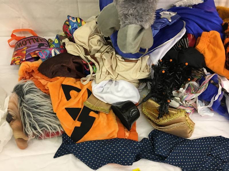 lot 155 image: all Halloween costumes shown