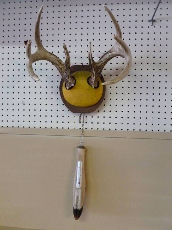 Deer Rack