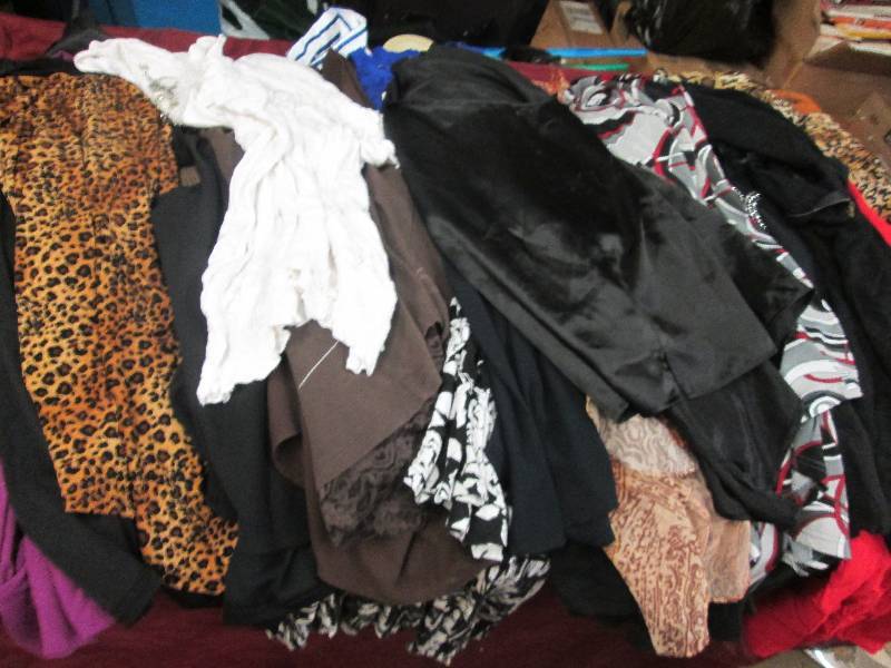 lot 254 image: Large Lot of Womens Brand Name Clo...
