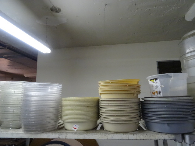 Misc plate covers to keep food warm...