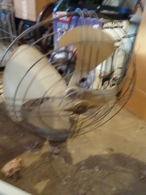 Vintage GE Electric Fan.  18
