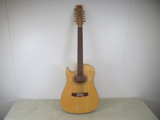 12 String Guitar by Vantage