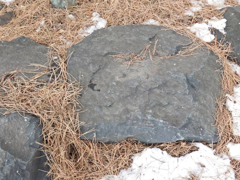 lot 117 image: large landscaping rock #3