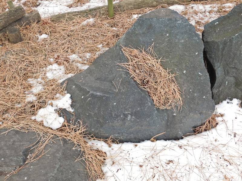 lot 118 image: large landscaping rock #4