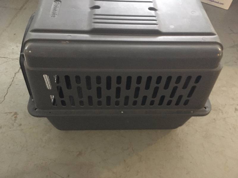 Large petmate kennel