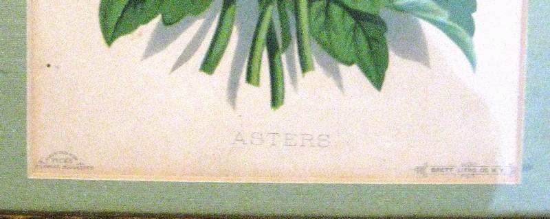lot 004 image: Antique Frame & Floral Print