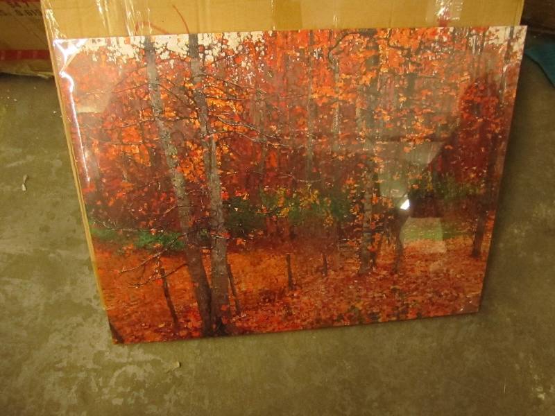 lot 12 image: Autumn Tree Canvas Art open box Ret...