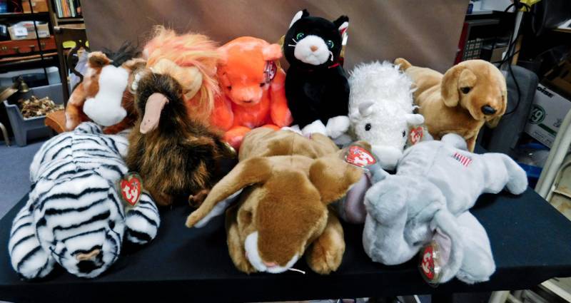 10 large beanie babies
