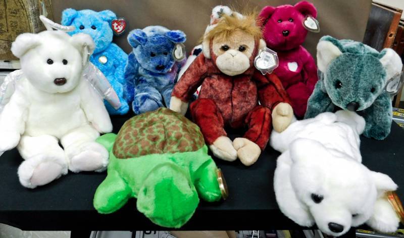 10 large beanie babies