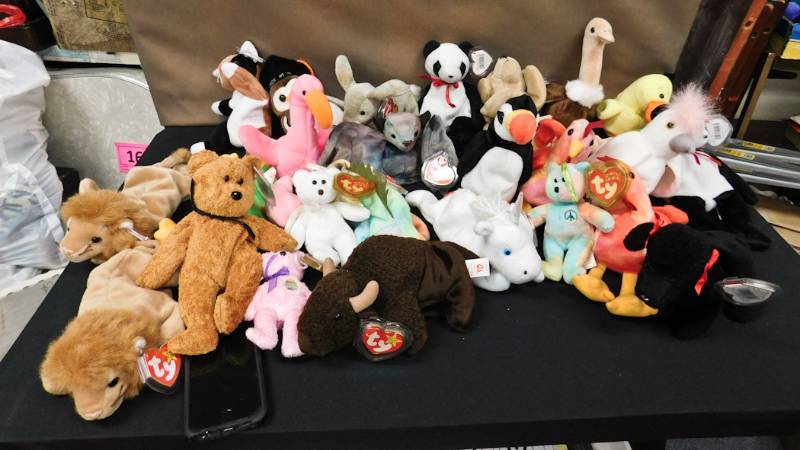 25 beanie babies