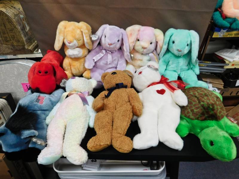 10 large beanie babies