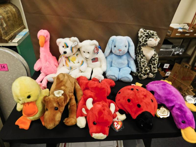 10 large beanie babies