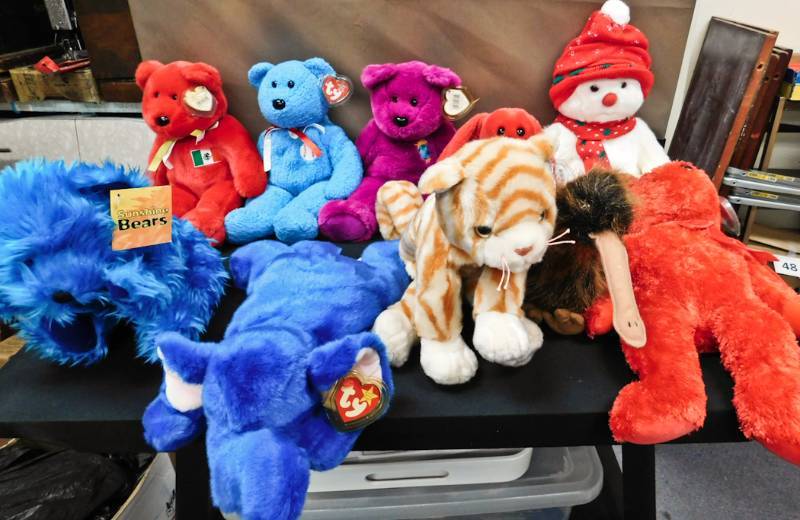 10 large beanie babies