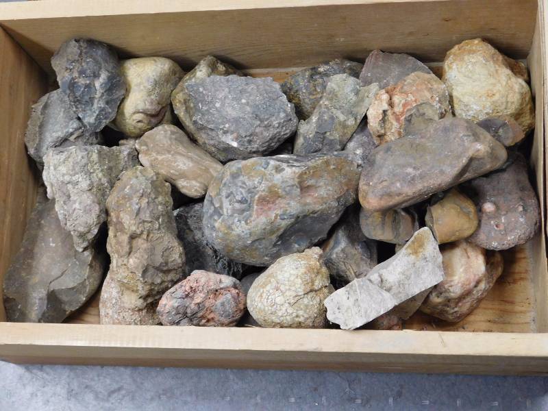 rock specimens