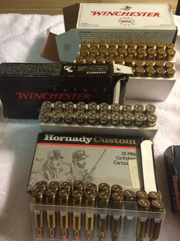 lot 17 image: .22-250 Ammo