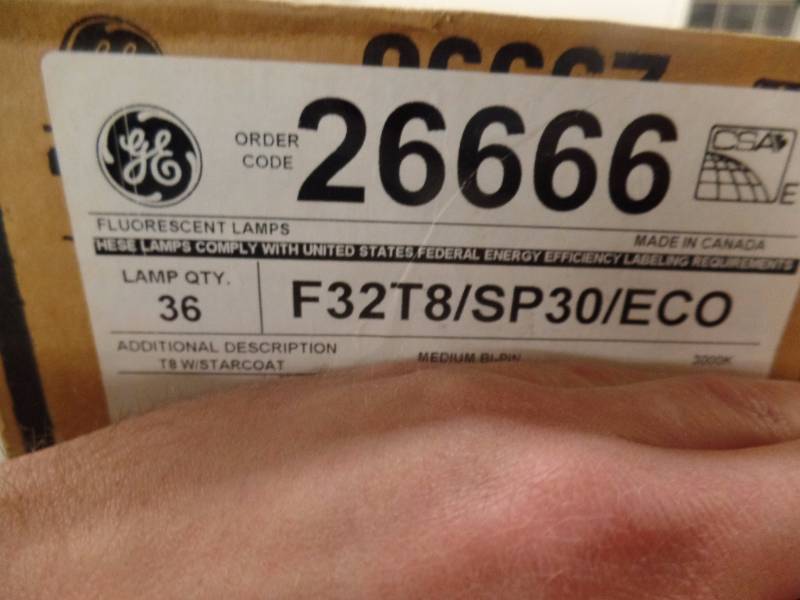 T-8 Fluorescent Tubes