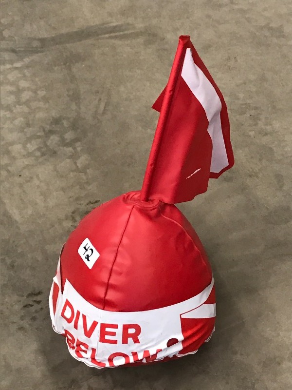 lot 42 image: Diver Below Diving Bouy With Flag...
