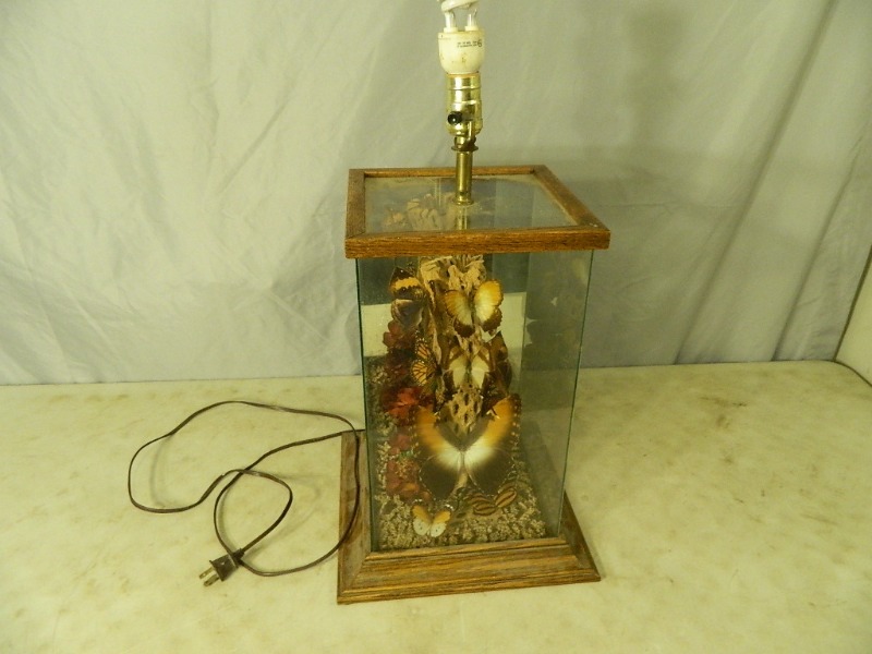 lot 6 image: Cool Butterfly Lamp