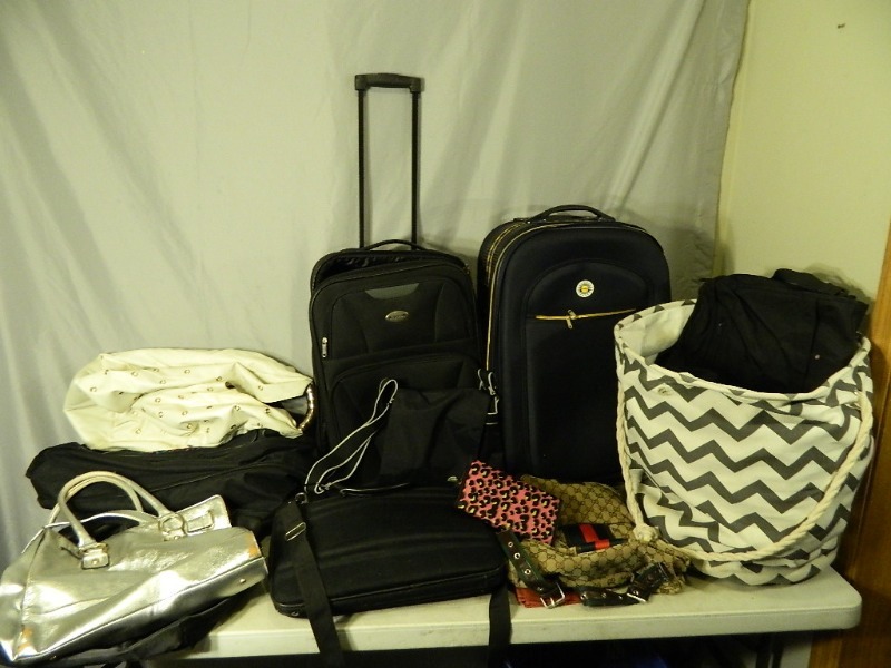 lot 123 image: Luggage, Bags, Purses, and More