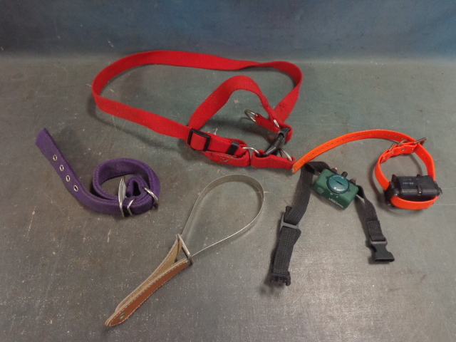 lot 125 image: Dog Harness, Collar & More