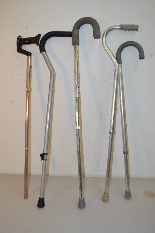 lot 81 image: Canes