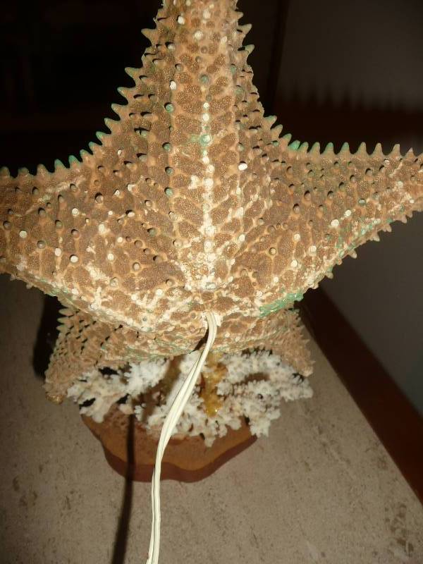 Very Unique 1 Of A Kind Folk Art Coral Lighted Piece - Very Good Condition - Never Seen Anything Like This Before