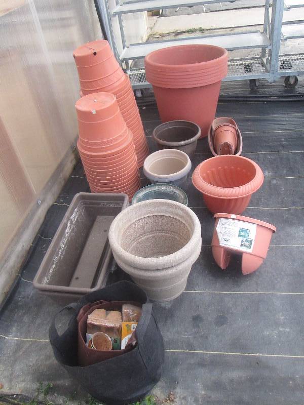 lot 19 image: Various PotsPlanters