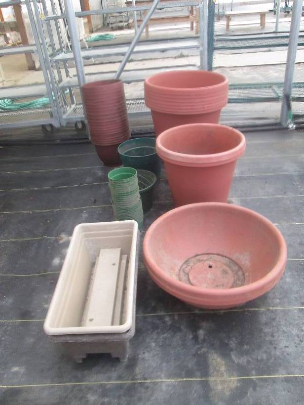 lot 20 image: Various PotsPlanters