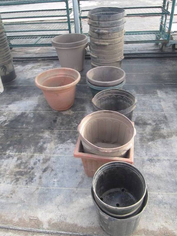 lot 31 image: Variety of PotsPlanters