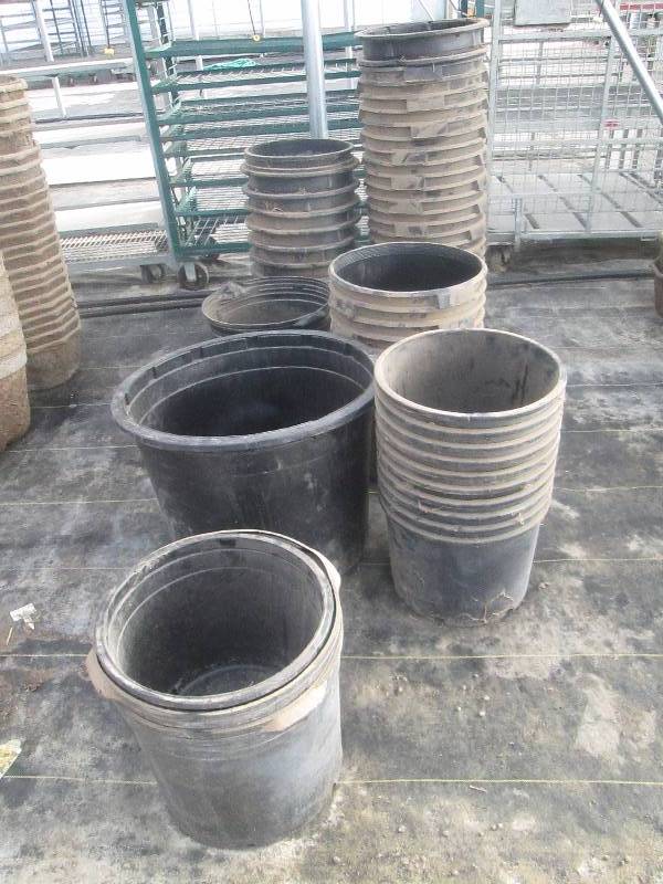 lot 34 image: Variety of Nursery Pots