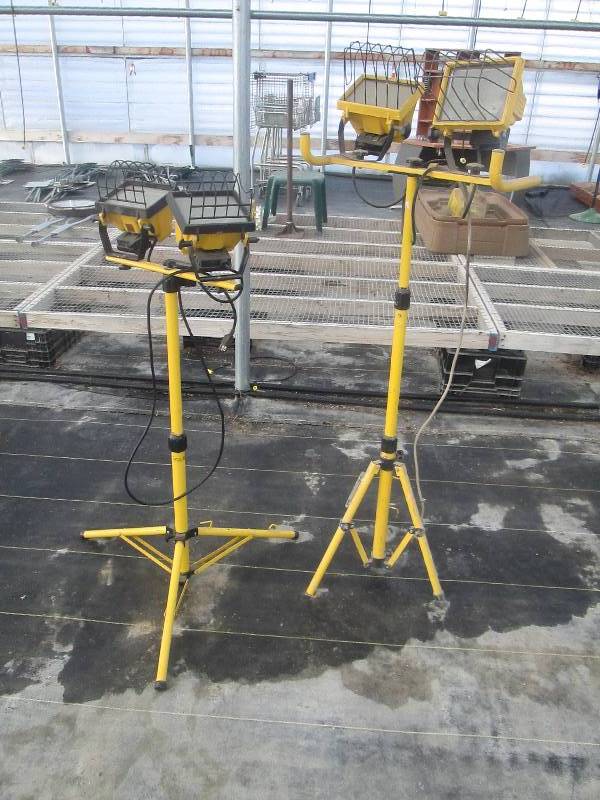 lot 38 image: Lights w Tripod Stands