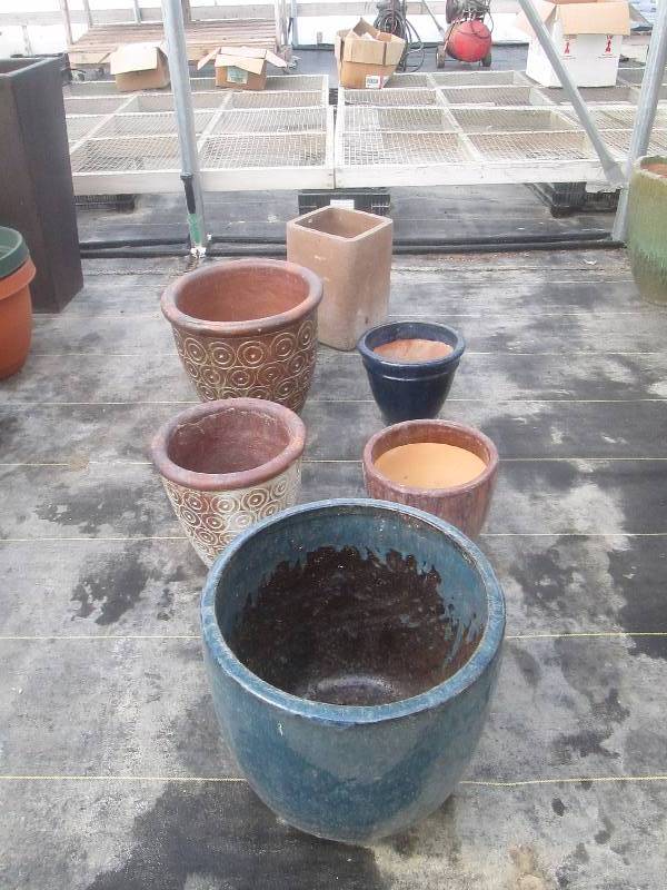 lot 49 image: Glazed PotsPlanters