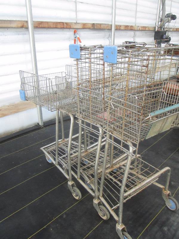 lot 64 image: 3 - Shopping Carts