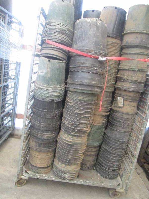 lot 97 image: Plastic Pots