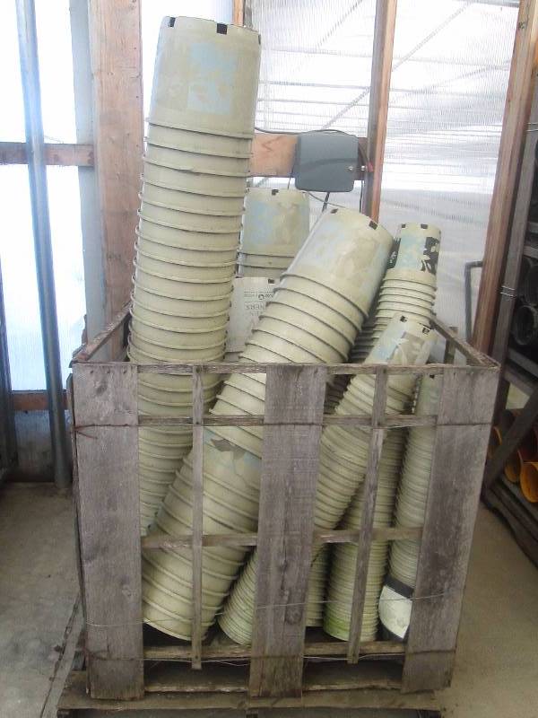 lot 98 image: Crate of Plastic Pots
