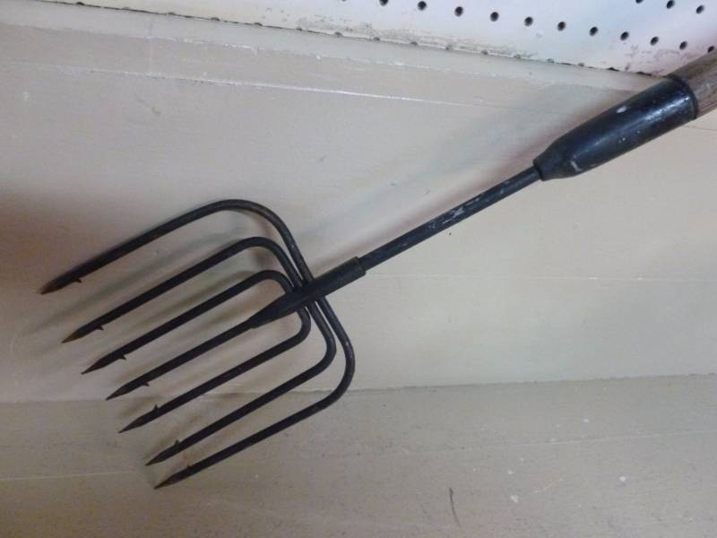 River Spear