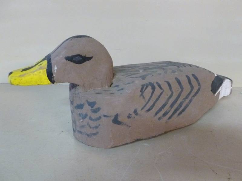 Duck Decoy