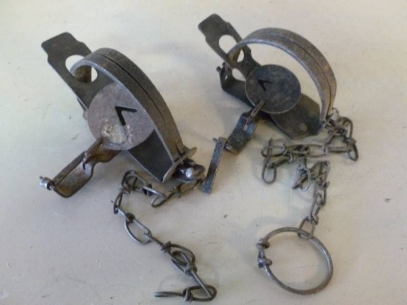Vintage Traps