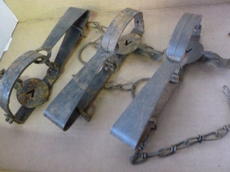 Vintage Traps